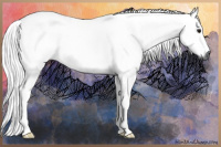 Horse Color:Gray Black 