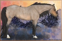 Horse Color:Buckskin Roan 