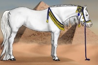 Horse Color:Liver Red Dun Mushroom Blanket 