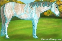 Horse Color:Thunderstruck Red Dun Ice Sabino 
