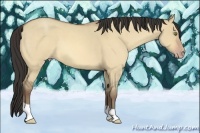 Horse Color:Amber Champagne Roan Dun