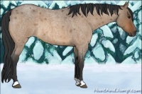 Horse Color:Bay Roan Dun Rabicano 