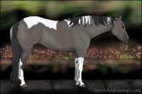 Horse Color:Grullo Tobiano