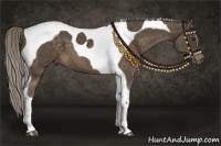 Horse Color:Chocolate Palomino Tobiano 