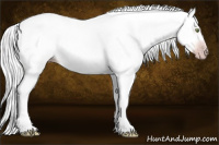 Horse Color:Gray Amber Champagne 
