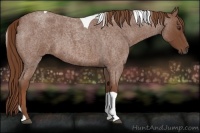 Horse Color:Red Roan Tobiano Rabicano