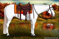 Horse Color:Buckskin Appaloosa  and Buckskin Appaloosa 