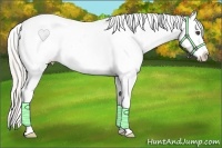 Horse Color:Silver Smoky Blue Roan Appaloosa