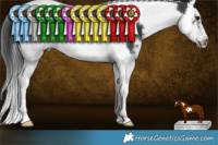 Horse Color:White Spotted Black Splash Tobiano Frame