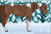 Horse Color:Chestnut Tobiano