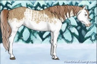 Horse Color:Red Dun Splash  and Red Dun Splash 