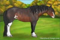 Horse Color:Brown Roan Sabino Rabicano