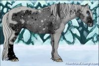 Horse Color:ERROR: UNKNOWN ANOMALY