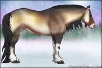 Horse Color:Bay Onyx 