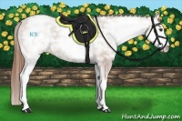Horse Color:White Spotted Chestnut Ice Sabino Varnish