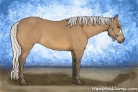 Horse Color:Silver Buckskin 