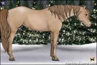 Horse Color:Black Pearl  Brindle