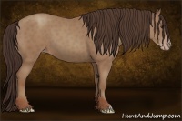 Horse Color:Classic Champagne