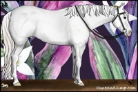 Horse Color:White Spotted Silver Black Ice Sabino Splash Frame Appaloosa Rabicano