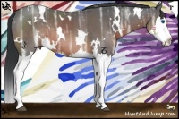 Horse Color:White Spotted Brown Ice Sabino Splash Rabicano