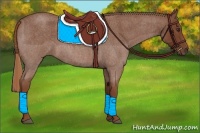 Horse Color:Red Roan 