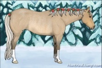 Horse Color:Silver Buckskin Roan Rabicano 