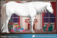 Horse Color:Bay Frame Appaloosa 