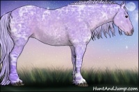 Horse Color:Watercolor Silver Buckskin Ice