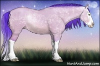 Horse Color:Watercolor Amber Champagne Ice Dun Splash 