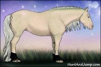 Horse Color:Watercolor Silver Amber Cream Champagne