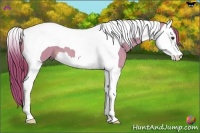 Horse Color:Watercolor Red Dun Sabino Splash Tobiano 