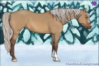 Horse Color:Silver Bay Dun