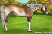 Horse Color:Silver Bay Onyx 