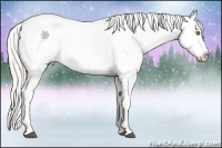 Horse Color:Silver Bay Pearl Tobiano Appaloosa