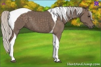 Horse Color:Silver Black Tobiano 