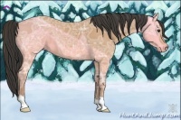 Horse Color:Buckskin Ice 
