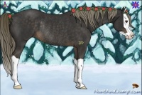 Horse Color:Liver Chestnut Splash Rabicano