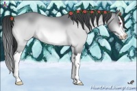 Horse Color:Bay Chinchilla Sabino Splash 