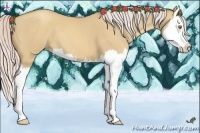 Horse Color:Silver Classic Champagne Dun Splash 