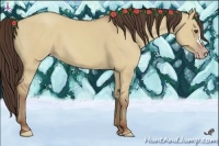 Horse Color:Classic Champagne Dun 