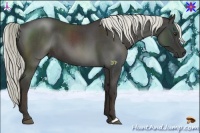 Horse Color:Liver Red Roan 