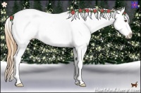Horse Color:Grullo Pearl Snowcap