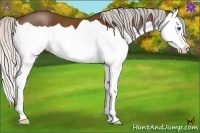 Horse Color:Silver Brown Splash 