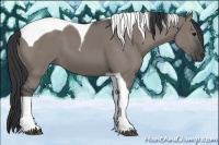Horse Color:Grullo Tobiano