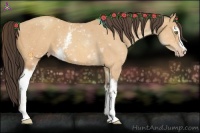 Horse Color:White Spotted Amber Champagne 