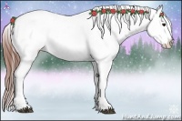 Horse Color:Black Frame Appaloosa 