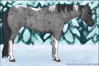 Horse Color:Smoky Blue Roan Tobiano 