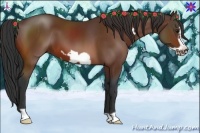 Horse Color:Bay Frame