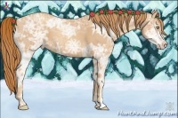 Horse Color:Gold Champagne Ice 