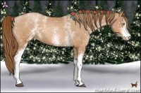 Horse Color:White Spotted Bay Pearl
